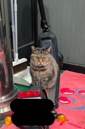 みたよ／シフト