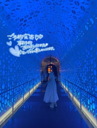 本日ご予約完売です🌟