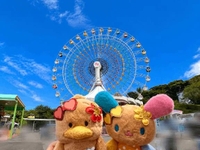 🎡