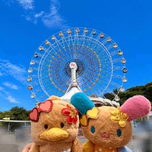 🎡
