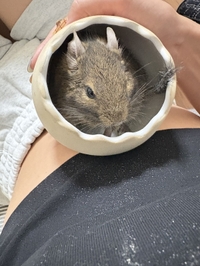 実は🙈︎💕︎