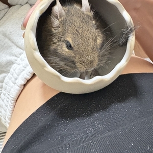 実は🙈︎💕︎