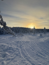 旅の思い出📷✨