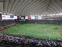 WBCやってるねえ⚾️