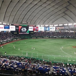 WBCやってるねえ⚾️