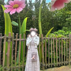 【必読】はるちゃんってどんな子？