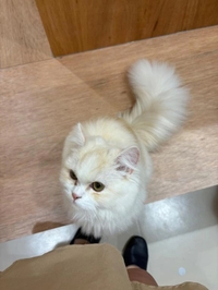 何事もぼちぼちよ…✨