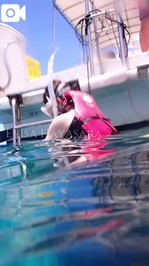 🎥【動くエリサ】※リアル音源