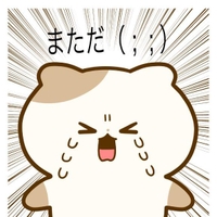 空き枠でました😭