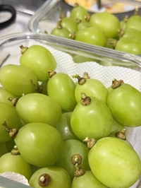 🙇‍♀️💦💦