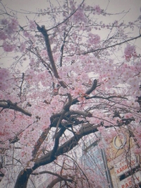 🧪定期検査のご報告🧪