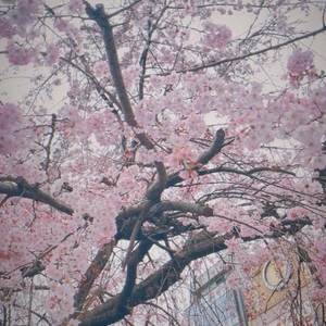 🧪定期検査のご報告🧪