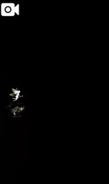 🎥𓈒𓂃みおんの動画