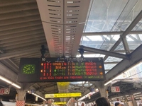 大遅延