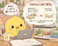9月4日