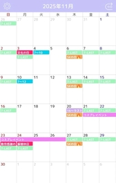11月の予定