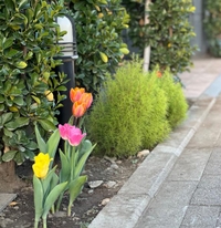 『季節はずれでも』