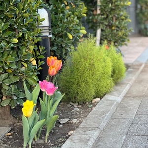 『季節はずれでも』