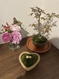 klassische Musik🎹