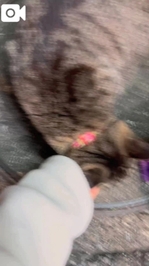 お好きですか？