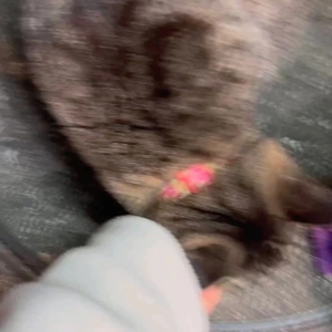 お好きですか？