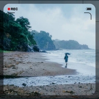 雨ですね☂️