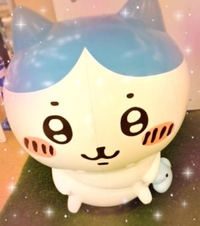 料金改正とお知らせ💁‍♂️⋆͛📢⋆