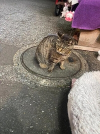ありがとうございました
