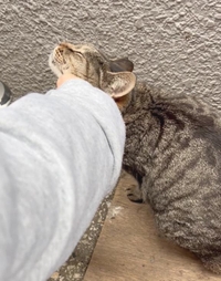 みたよ／シフト