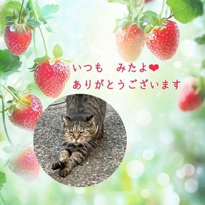 みたよ／シフト
