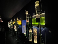 駆け込みで🏃‍♂️