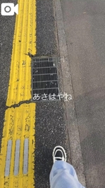 ✧年内最後❕