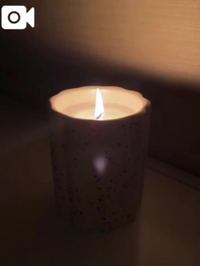 癒し求む🫶🏻