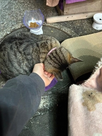 みたよ／シフト