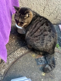 スイキスご来店の際には