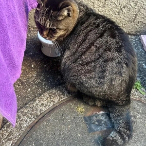 スイキスご来店の際には