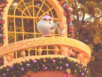 今日もお待ちしております( *´꒳`*)