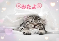 みたよ(*ˊ˘ˋ*)♡