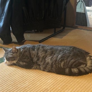 _( _´･-･)_ぺたぁ💕