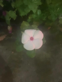 出勤します🎶