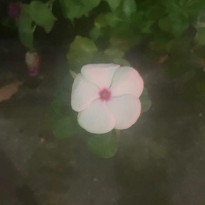 出勤します🎶