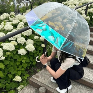 一気に冬Σ😳。