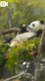 しっかり食べましょうね!