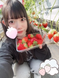 いちご狩り🍓