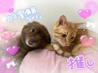仲良し♡
