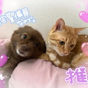 仲良し♡