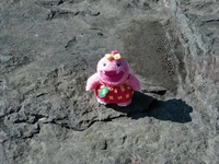 ※14時30分〜16時※