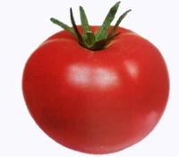 嫌いな食べ物など🥺