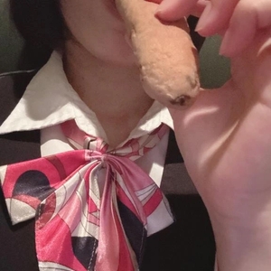 のどか流お・も・て・な・し🫶🏻