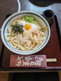 お知らせ⋆📢⋆